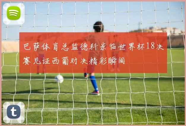 巴萨体育总监德科亲临世界杯18决赛见证西葡对决精彩瞬间